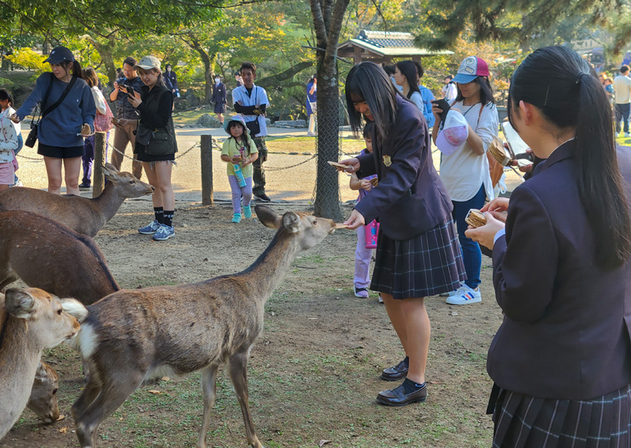 修学旅行（２年）